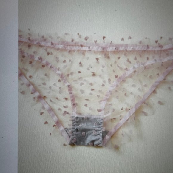 Brand New Plus 5-pack Heart Print Mesh Multicolored Panty Set (14) 1XL - Picture 3 of 5